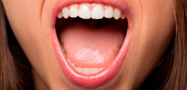 Sistema estomatognático Sistema estomatognático y Terapia miofuncional